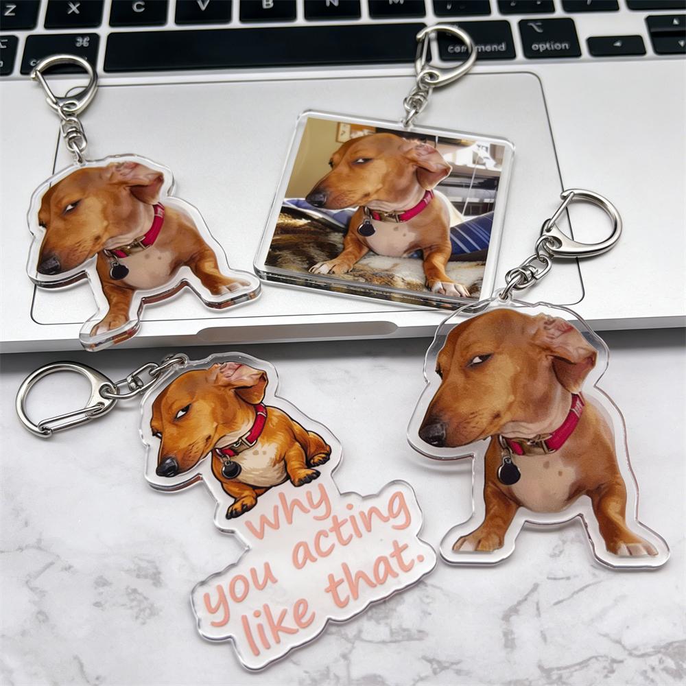 Funny Suspicious Dog Meme Face Keychains for Accessories Bag Fun Side Eye Puppy Dachshund Keyrings Jewelry Fans Friends Gifts