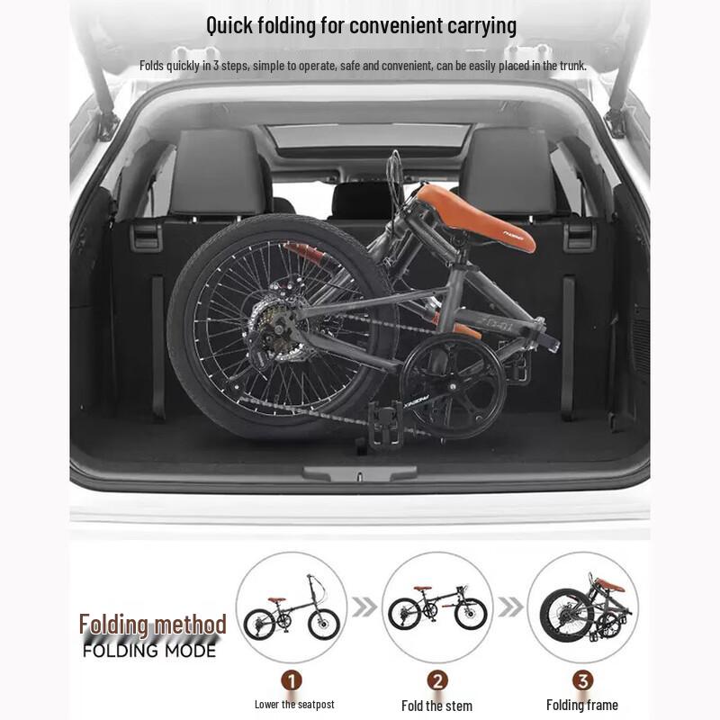 Phoenix Folding Bicycle