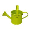 Kettle Ornament Drop-resistant Opening Design Creative Decorative Galvanized Iron Flower Planting Pot Watering Can Home Garden KTY