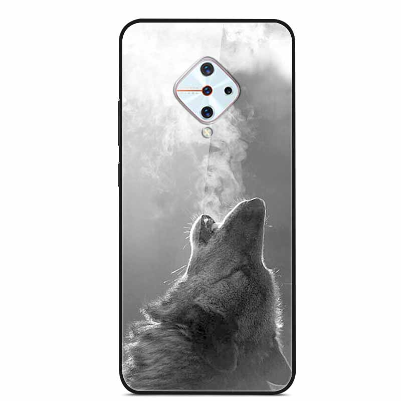 Tempered Glass Case For Vivo V17 Case Russia Glass Back Cover Soft Bumper For Vivo V17 Phone Cases V 17 Funda Y9s S1 Pro Coque