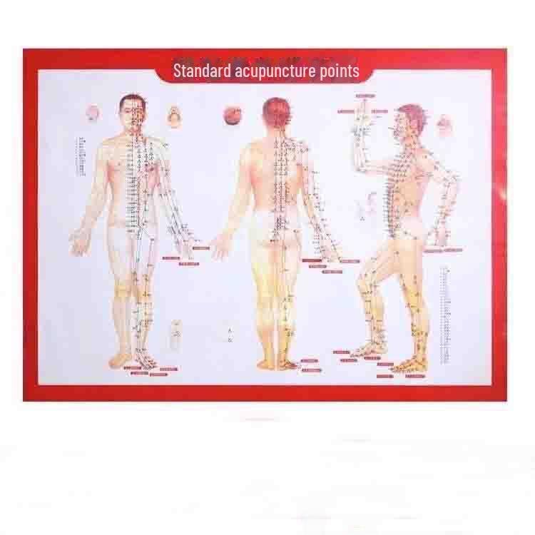 Massage Rolling Stick with 35 Beads for Whole Body Meridian Dredging and Abdomen Massage