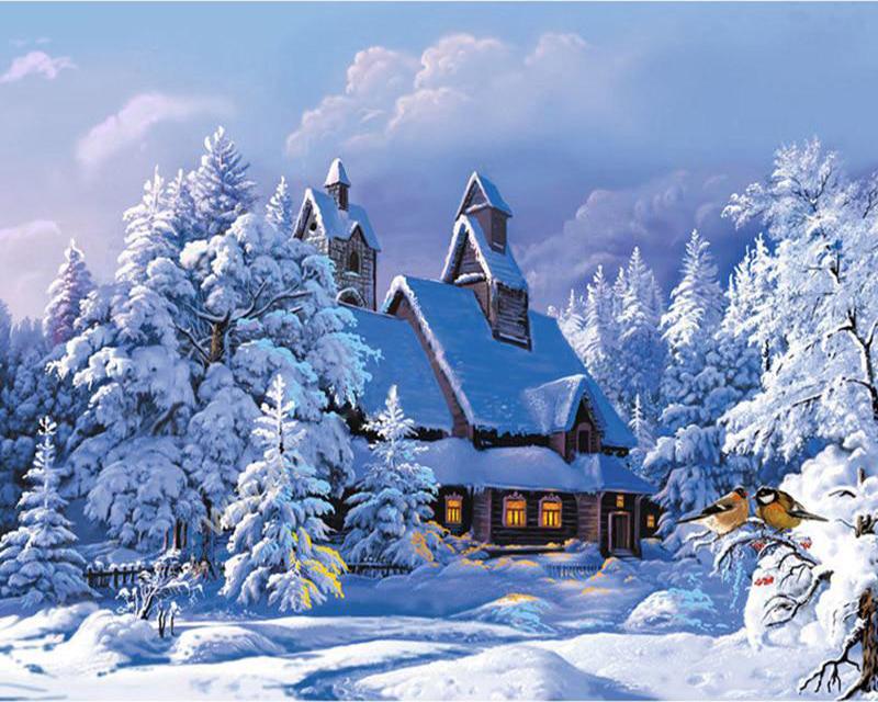 Полный квадратный круглый алмаз вышивка океан северное сияние снег пейзаж вышивка крестом алмазная живопись животное полный квадрат Новое поступление украшение дома