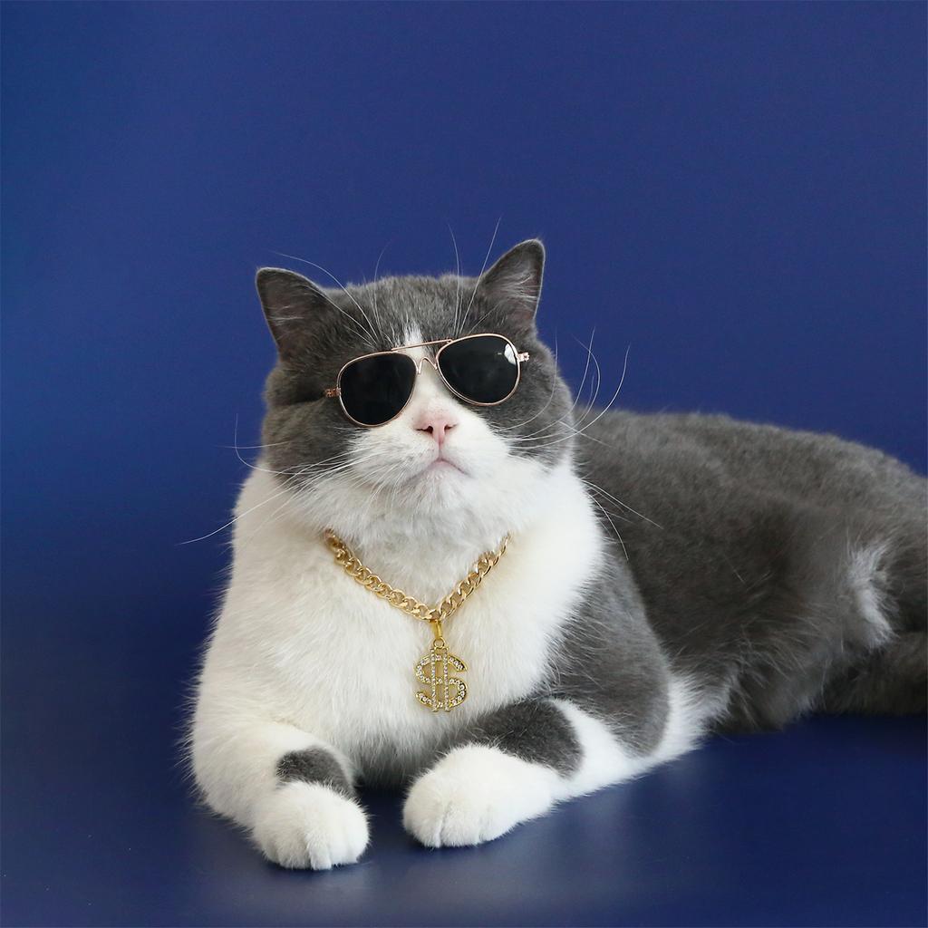 Adjustable Cat Jewelry Small Dogs Cat Collar Necklace with Rhinestones Dollar Pendant Wedding Party Cat Girl Collar 2PCS