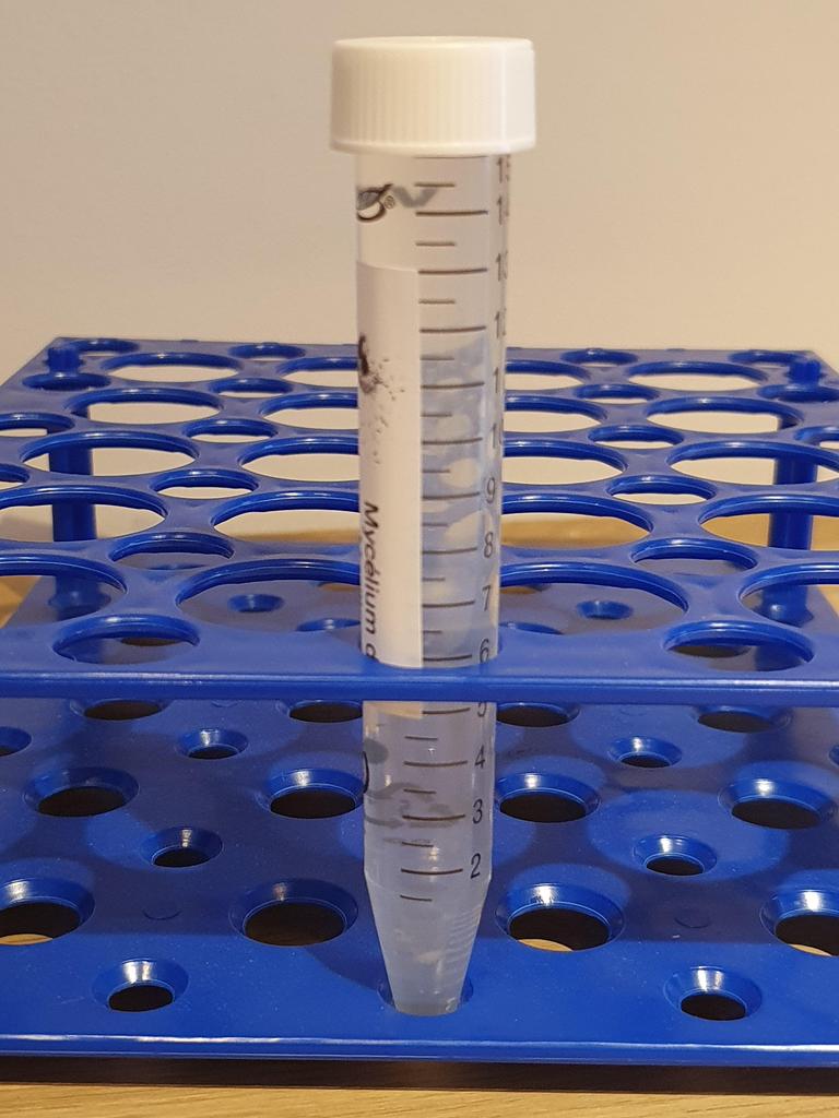 Мицелий пуговичных грибов - набор для выращивания грибов