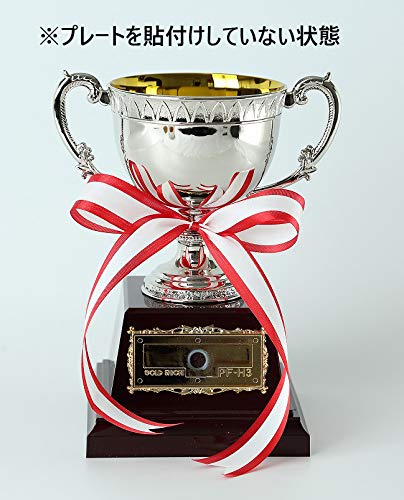 Metal Championship Cup AS-9110 [Free Plate Engraving] Available in 4 Sizes, Trophy, Award, Prize, Tournament, Souvenir, Ribbon (D Size, 13cm Tall)