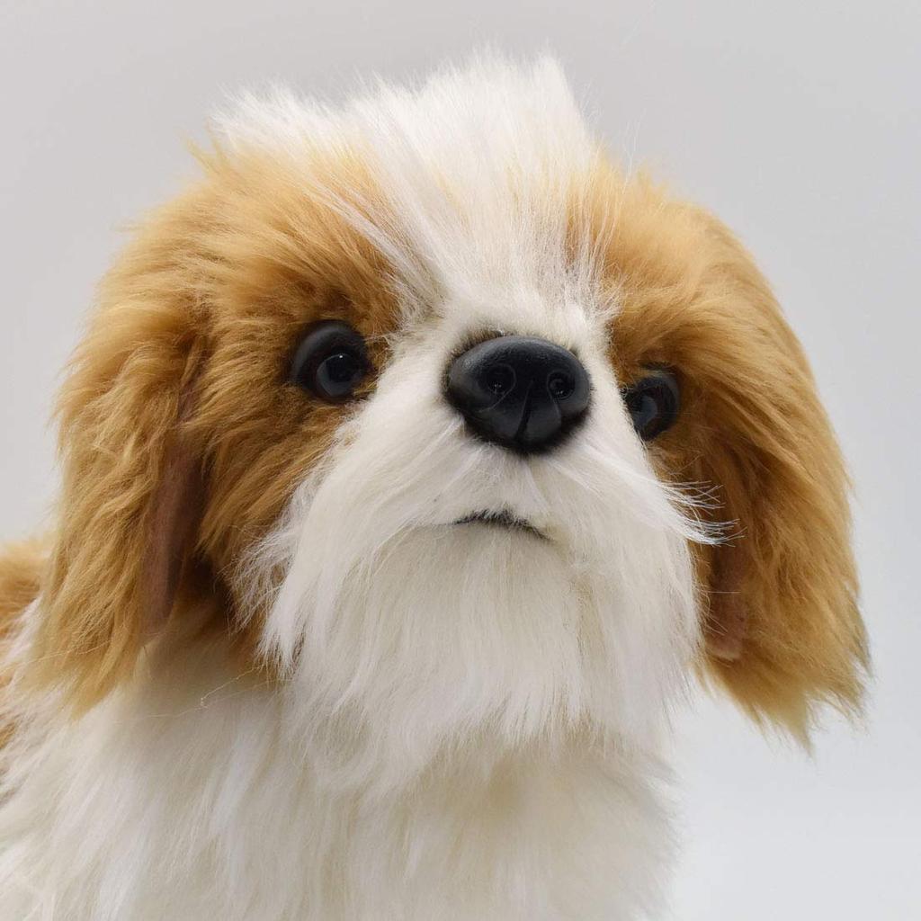 BH7030 HANSA Shih Tzu 30