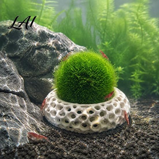 Freshwater Shrimp House 2Pcs Caves for Plants Aquarium Round Hideouts Cherry & Dwarf Small Resting Spot Hides Moss Ferns And Anubias Tank