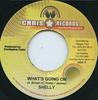 7-дюймовая пластинка SHELLY - Whats Going On НИКТО Chris Records Ямайка Регги, Ска и Даб Б/У