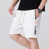 Men Summer Sports Shorts Thin Breathable Letter Print Beach Middle Pants Causal Loose Lace Up Elastic Waist Shorts