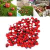 200Pcs/Lot Cartoon Ladybug Stickers Self Adhesive Plant Fridge Wall Sticker Decoration