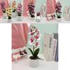 Faux Butterfly Orchid Floral Arrangement For Party Decorations And Home Styling
