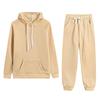 2 Pcs/Set Women Hoodie Pants Suit Solid Color Plush Long Sleeves Thick Top Elastic Waist Ankle-banded Trousers Sport Fitness