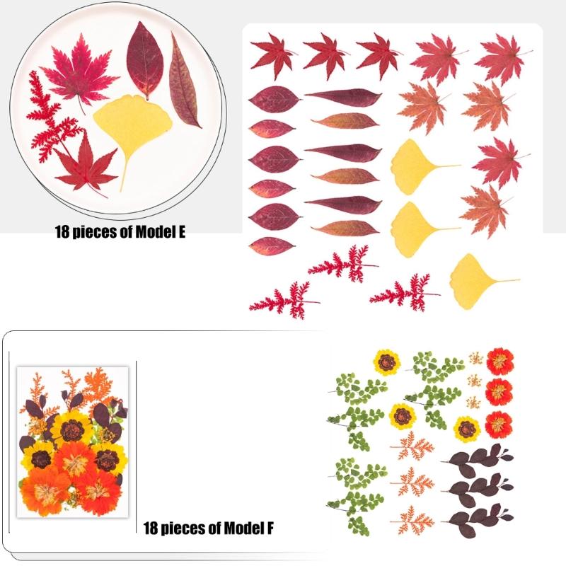 Натуральные сушеные цветы для эпоксидных форм Набор сухих цветов и листьев для искусства, ремесла, изготовления свечей, ювелирных изделий, скрапбукинга