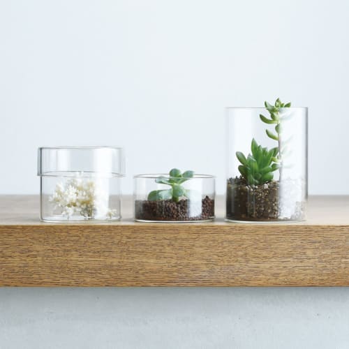 KINTO SCHALE Glass Case, 100x85mm, Clear, 25762