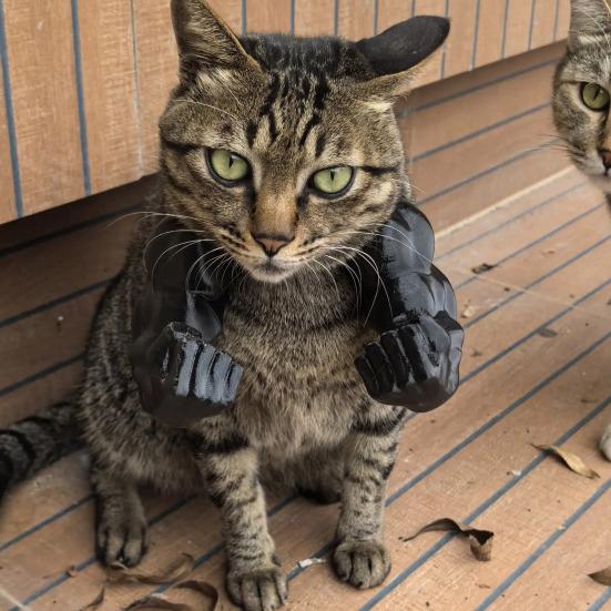 Костюм кошачьей мышцы руки, 3D-принт, кошачья шея и рука с мышцами, аксессуары для костюма супергероя на Хэллоуин