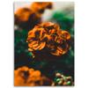 Canvas print, Orange flowers