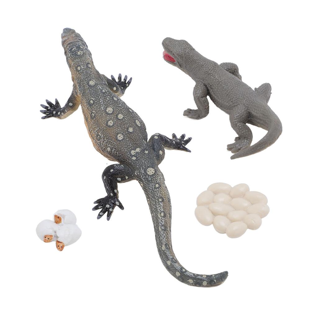 4 Pcs Lizard Life Cycle Toy PVC Realistic Educational Reptile Animal Growth Cycle Toy