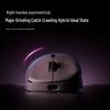 Rapoo VT3 II Dual 8K Lightweight Gaming Mouse