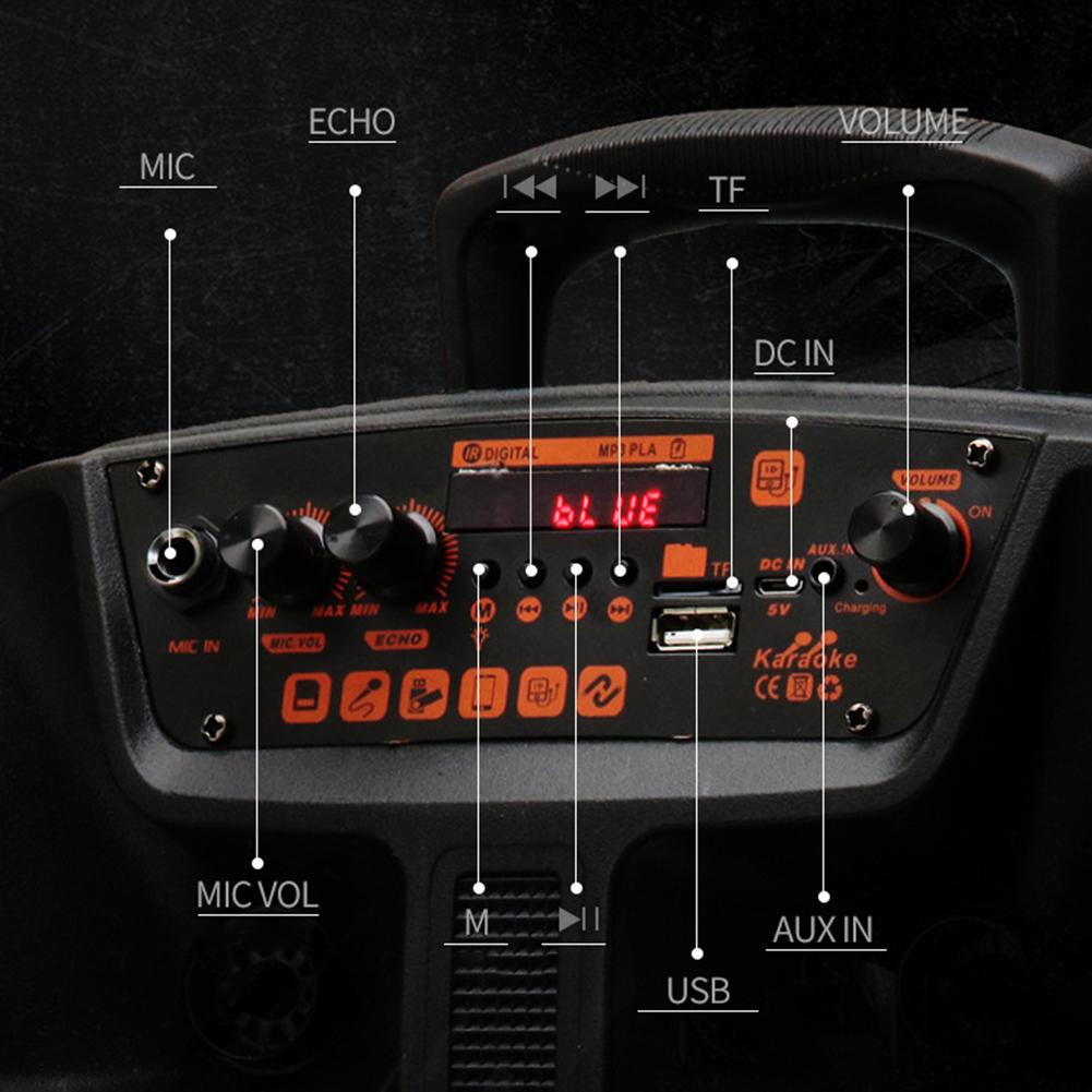TTD-8250 Беспроводная портативная колонка Bluetooth 5.0 с микрофоном и пультом дистанционного управления, сабвуфер, стерео, громкая колонка, поддержка FM-радио