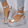 Fashion Ankle Strap Chunky Platform Sandals for Women 2025 Summer Thick Bottom Wedge Sandals Woman Fashion Silver High Heel Sandalias