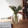 Modern Minimalist Glass Vase for Tulips & Ranunculus - Hydroponic Decor Accent for Living Room