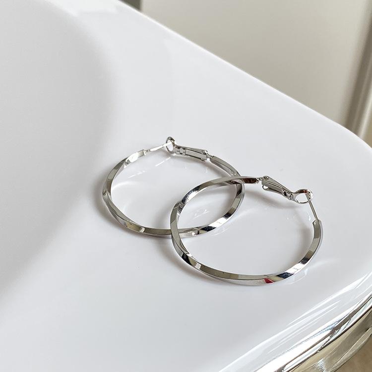 Simple and Versatile Circle Earrings, New Trendy Women's Niche Design, High-end Temperament, Light Luxury Accessories