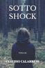 Книга Sotto Shock