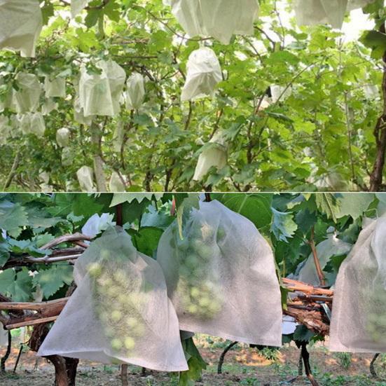 100Pcs Anti-bird Waterproof Breathable Grape Vegetable Fruit Protection Bag