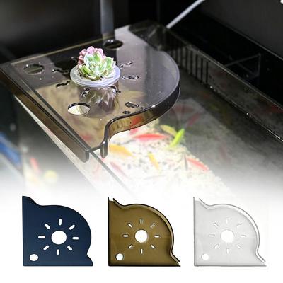 Рыбки и морские животные – Оформление аквариума