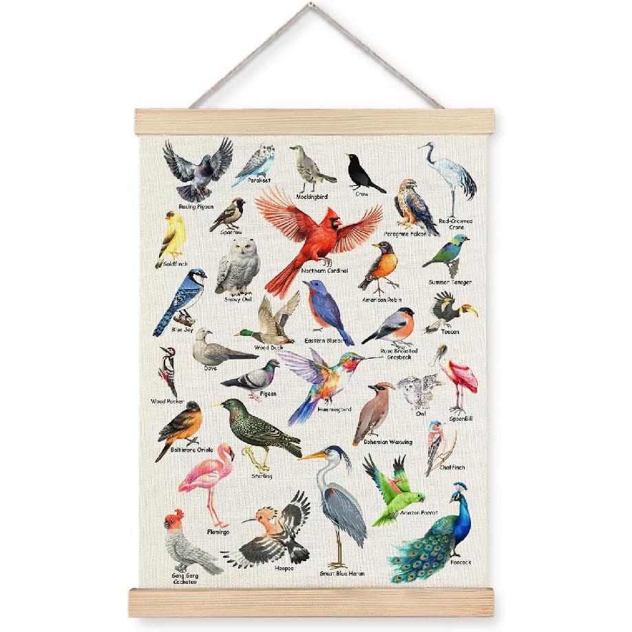 JINYO Bird Wall Decor, Bird Wall Art Poster, Bird Pictures Wall Decor, Bird Decor for Home, Gifts for Bird Lovers, Bird Prints Wall Art for Home
