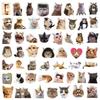 50-Count Internet Cat Emoji Stickers: Trendy Decoration for Skateboards, Water Bottles, Suitcases, and More