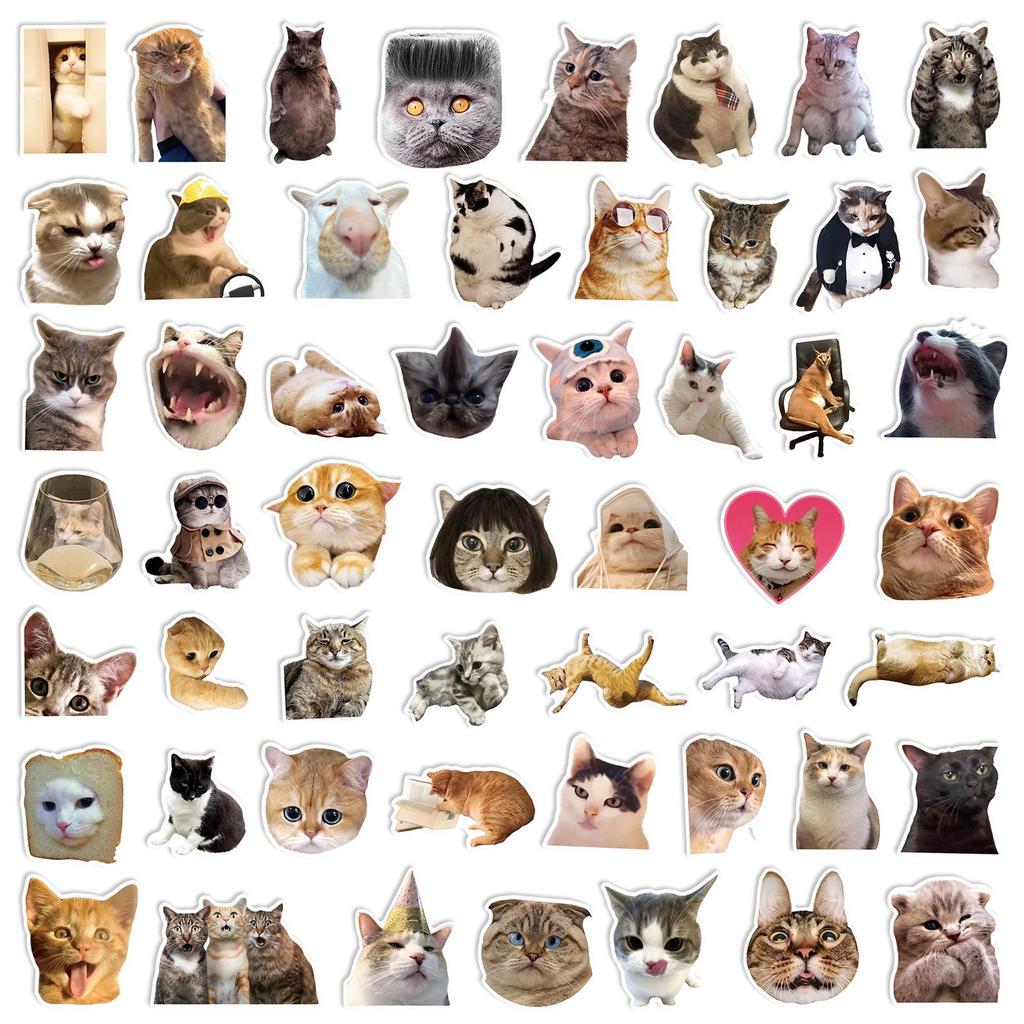 50-Count Internet Cat Emoji Stickers: Trendy Decoration for Skateboards, Water Bottles, Suitcases, and More