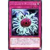 Yu-Gi-Oh! Card Burgestoma Dinomiscus (Normal) Structure Deck R Devil's Gate (SR13) | Battle of Chaos Normal Trap