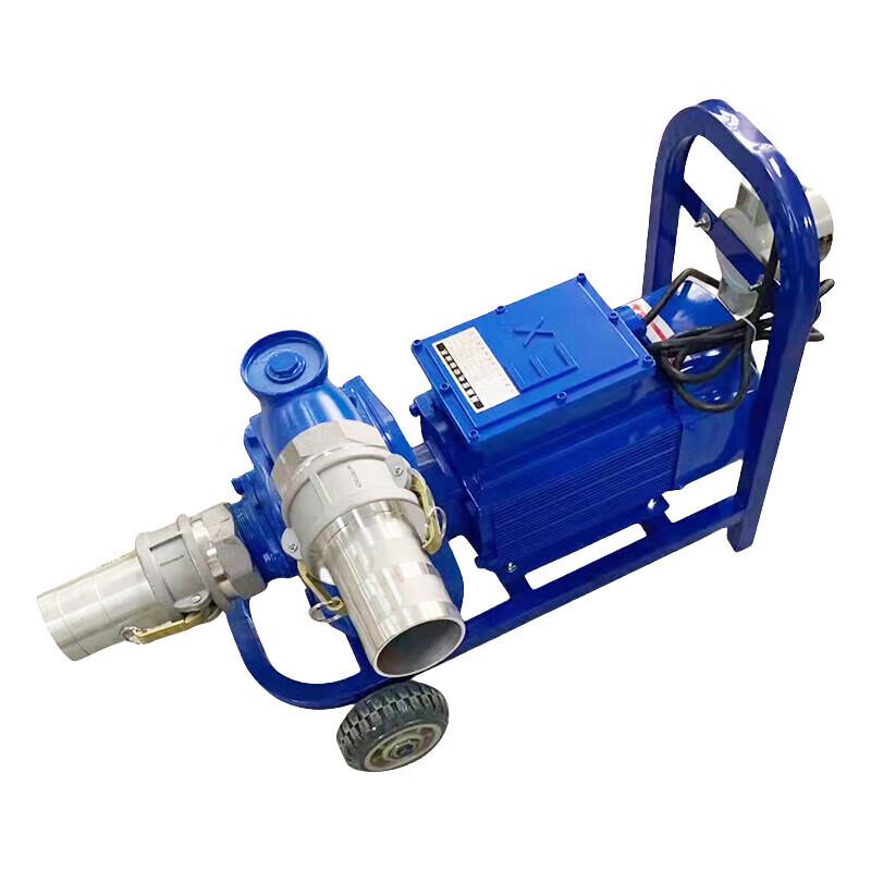 Nuoshuer 24V 1.5-inch Electric High Flow Oil Transfer Pump CN plug (adapter included)