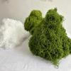 Moss Blocks for Indoor/Outdoor Decor - Micro Landscape & Cafe Plant Wall Materials