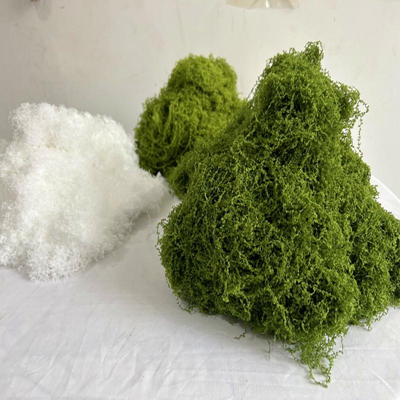 Moss Blocks for Indoor/Outdoor Decor - Micro Landscape & Cafe Plant Wall Materials