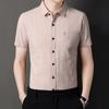 Men'S Plaid Shirt Short-Sleeved T-Shirt Summer Thin Loose Large Size Half-Sleeved Medium Business Casual Shirt Men'S Trend