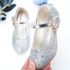 Girls Princess Dress Shoes Low Heel Performance Kids Party Wedding