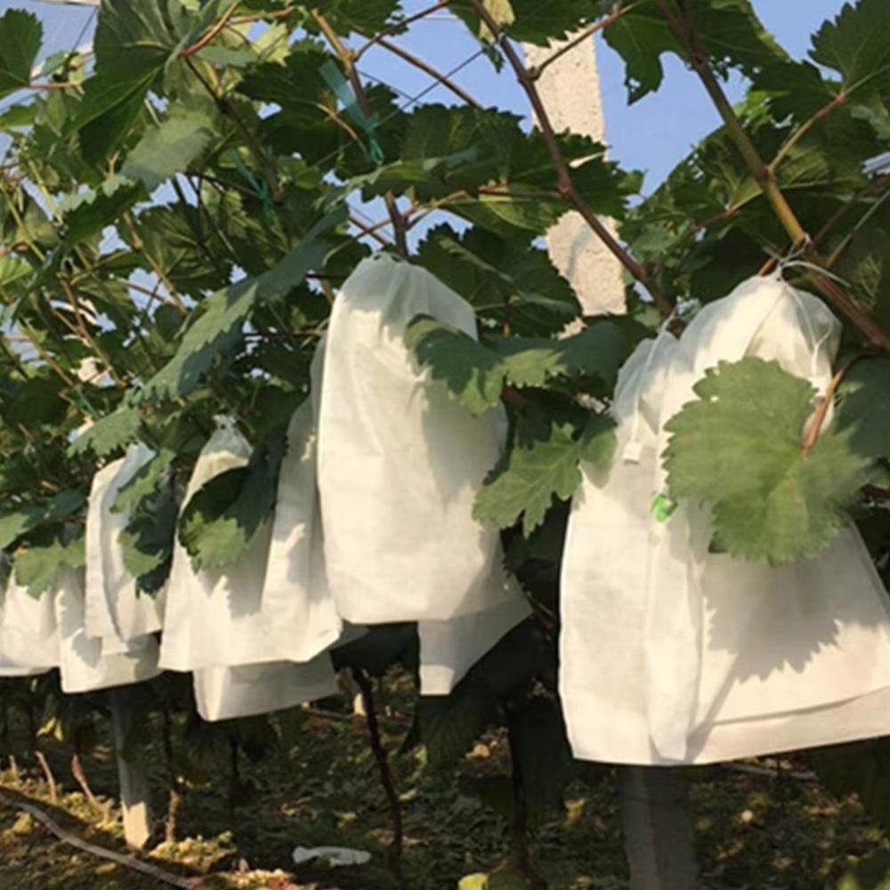 100pcs Breathable Grapes Fruit Grow Bags Mesh Grape Protection Cover Fruit Pockets Garden Tools