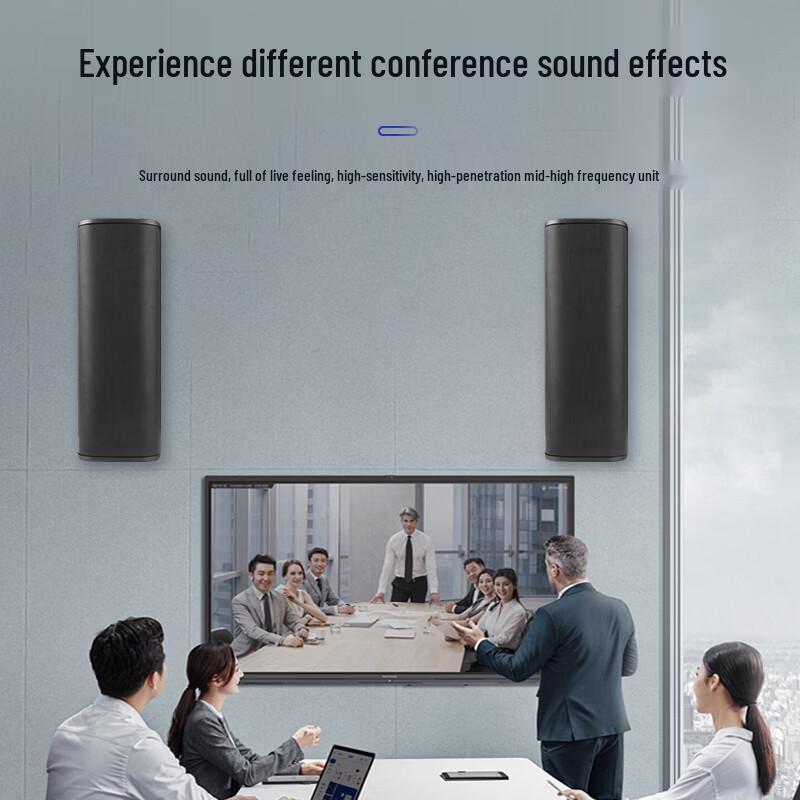 COOMA Professional Wall-Mounted Column Speaker CN plug (adapter included)