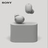 Sony Полностью беспроводные наушники с шумоподавлением WF-1000XM6