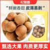 Qilixiang Dried Longan 450g - Fujian Putian Premium Dried Lychee Fruit