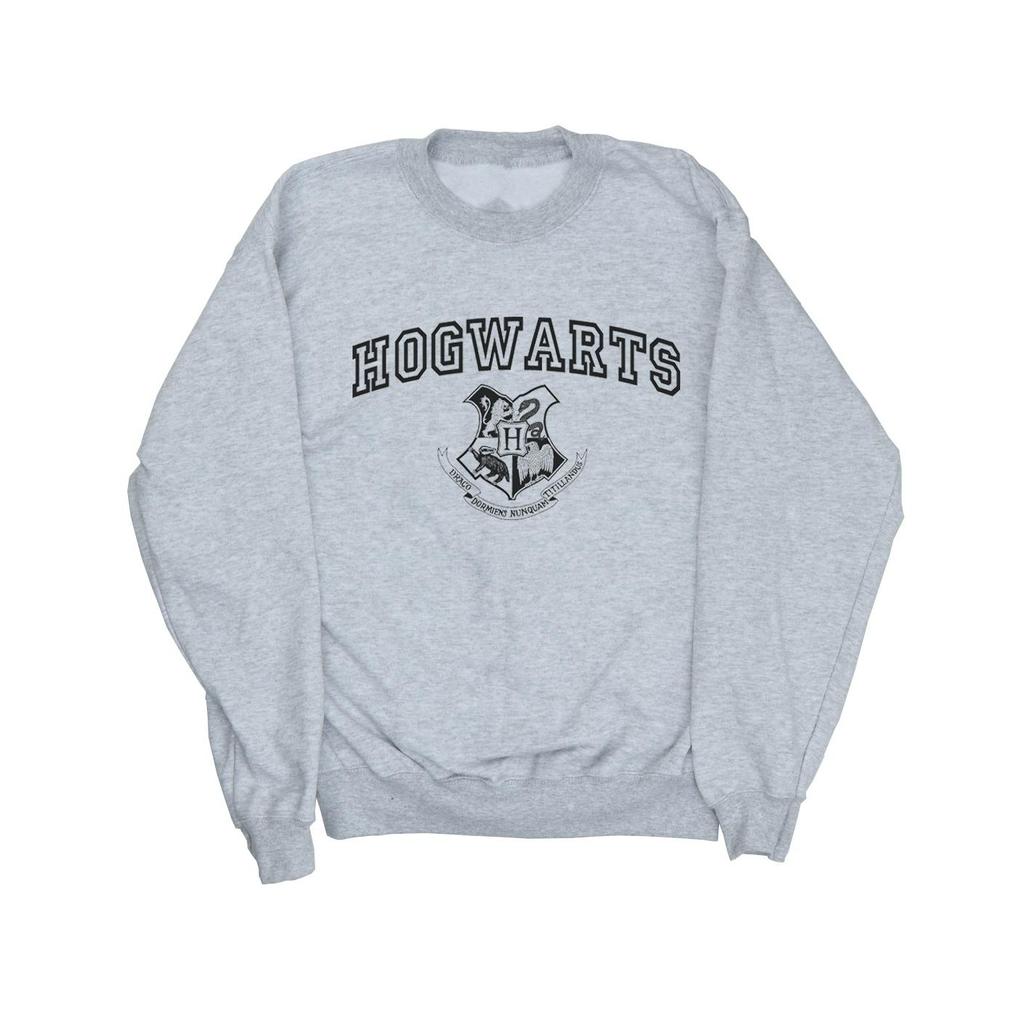 HARRY POTTER Boys Hogwarts Crest Sweatshirt