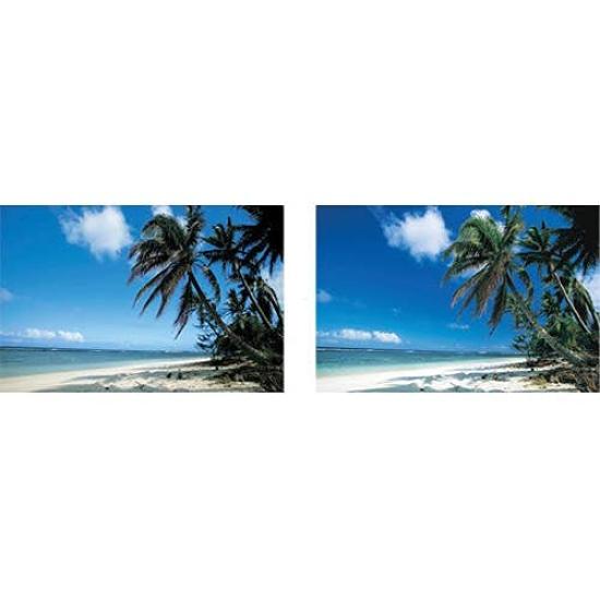 Circular Polarizing Filter 52 for Canon Cameras Drop-in PL-C (WII)