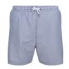 Mens Loras Stripe Swim Shorts