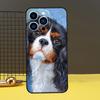 Чехол для телефона «Кавалер Кинг Чарльз спаниель» для iPhone 15 14 13 12 11 Pro Max X XR XS Max 7 8 Plus 12 13 Mini задняя крышка