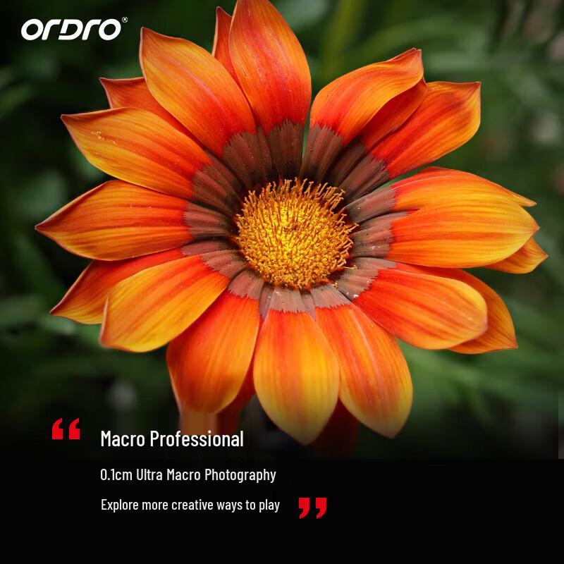 ORDRO AC5 4K Professional Live Stream Camcorder (CN version)