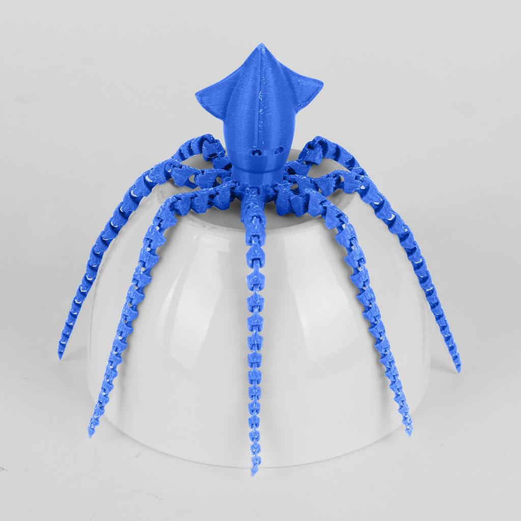 3D Printing Cuttlefish 3D Printing Articulated Cuttlefish Toy Adult Children's Toy Mysterious Cuttlefish Toy