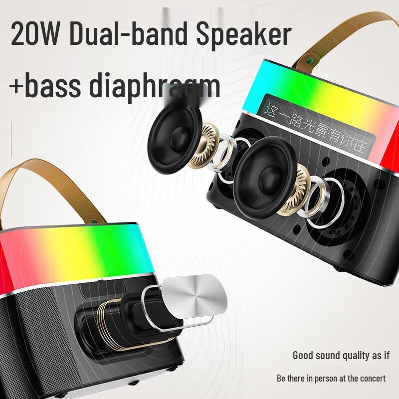 Портативная уличная Bluetooth-караоке-колонка Newmine MC75 с двумя микрофонами