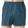 Triumph Green Flower Trunk Gr tdmtk813Gr